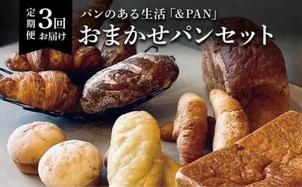 【定期便全3回】 &PAN こだわりのパン詰め合わせセット